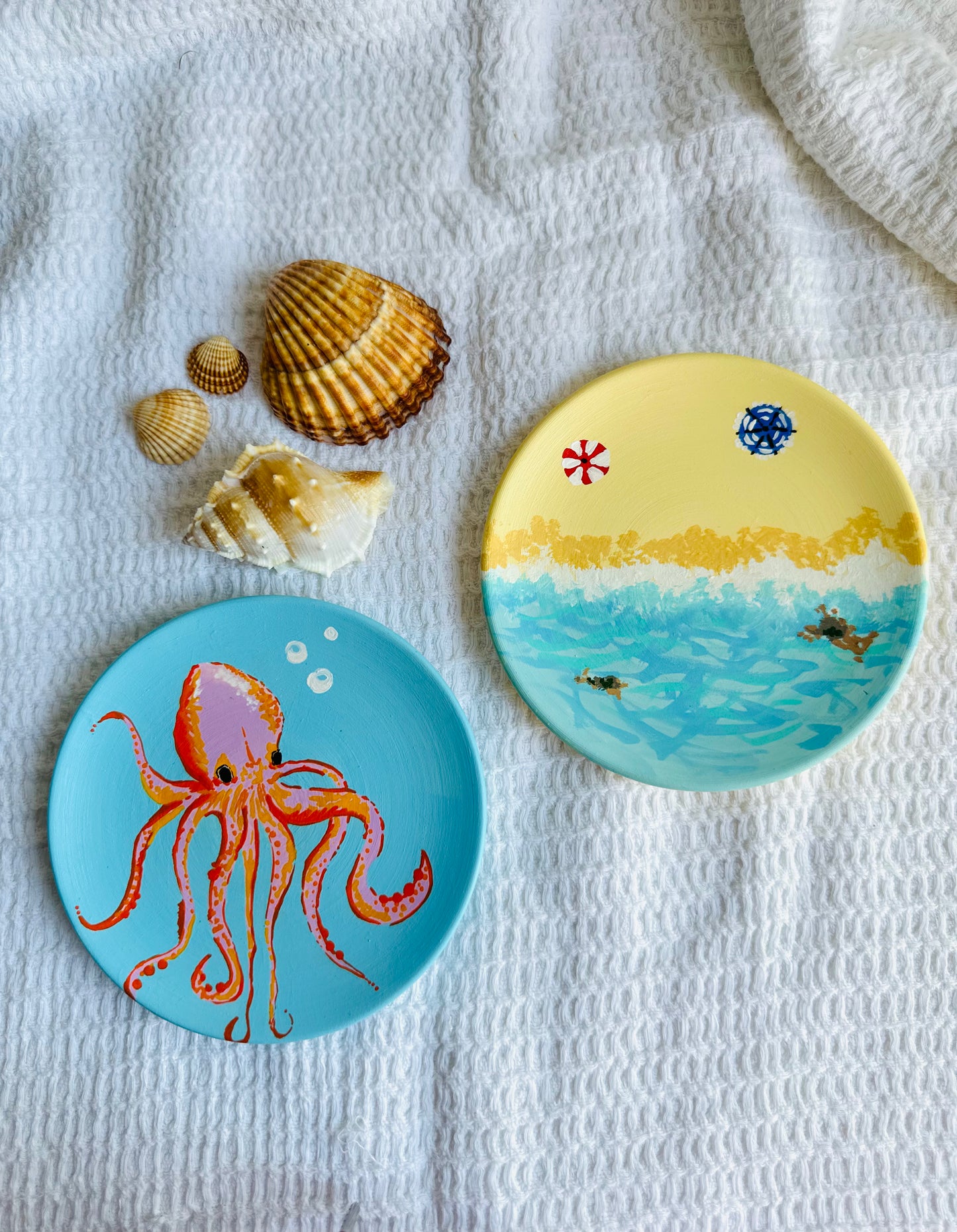 Platito Pulpo de sangre azul.